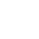 Lerxst Amps